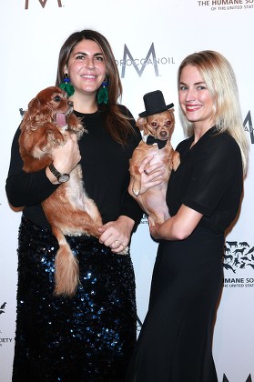 The Humane Society 'To the Rescue!' Gala, New York, USA - 18 Nov 2016