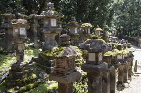 Toro Stone Lanterns Along Path Kasuga Editorial Stock Photo - Stock ...