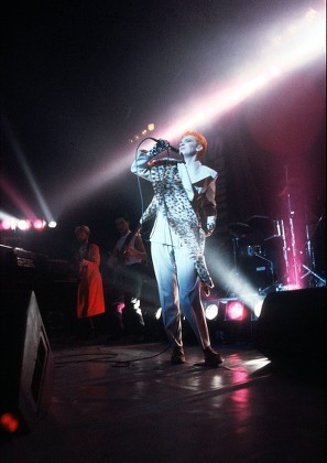 Eurythmics Annie Lennox Editorial Stock Photo - Stock Image | Shutterstock