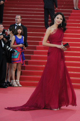 'Tree of Life' Red Carpet at the Palais Des Festivals During the 64th Cannes Film Festival - 16 May 2011 Editorial Stock Image