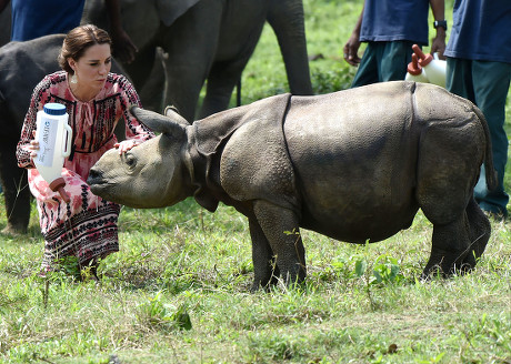 Centre Wildlife Rehabilitation Conservation Kaziranga National ...