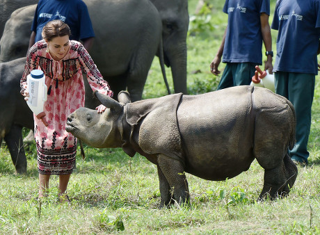 Centre Wildlife Rehabilitation Conservation Kaziranga National ...