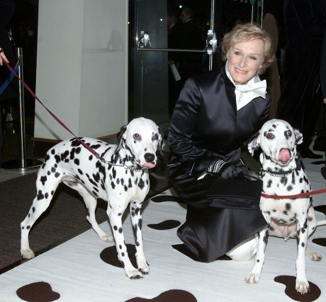 Premiere 102 Dalmations Odeon Leicester Square Editorial Stock Photo ...