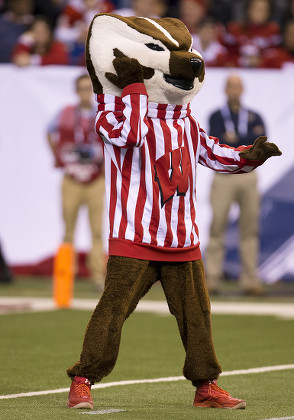 Wisconsin Mascot Bucky During Ncaa Football Editorial Stock Photo ...