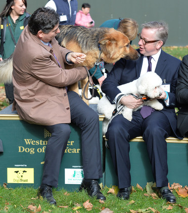 Westminster Dog of the Year,