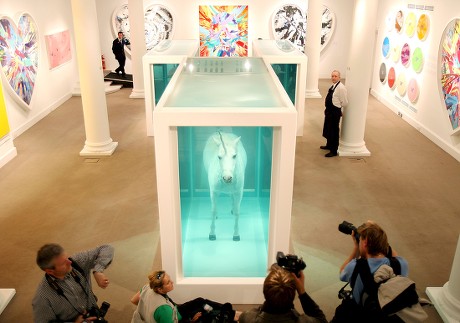 BRITISH ARTIST DAMIEN HIRST'S ART WORK Editorial Stock Photo - Stock ...