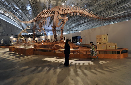 mamenchisaurus skeleton