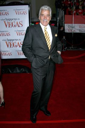 'What Happens In Vegas' Film premiere, Los Angeles, America - 01 May 2008