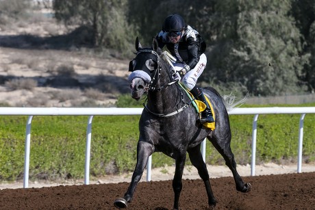Af Al Jahed Richard Mullen Trained Editorial Stock Photo - Stock Image ...