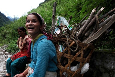 Local Pahari Women Carries Wood Collected Editorial Stock Photo - Stock ...