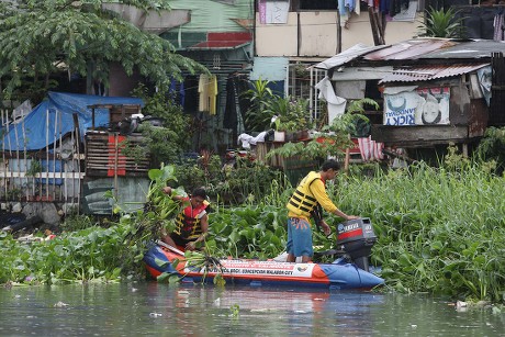 Filipinos Collect Water Plants That Clog Editorial Stock Photo - Stock ...