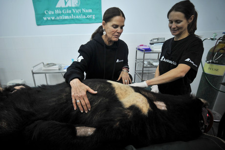 Vietnam Bear Rescue Sanctuary Eviction - Dec 2012