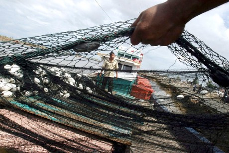 2025 tsunami death toll by country