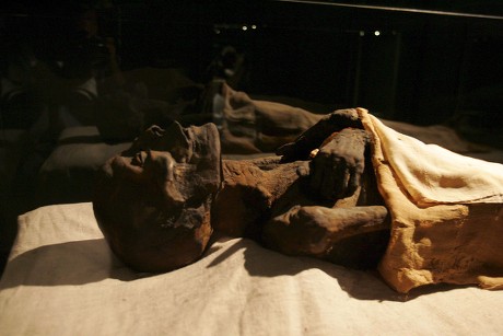 Mummy Ahmose Pictured Luxor Museum On Editorial Stock Photo - Stock ...