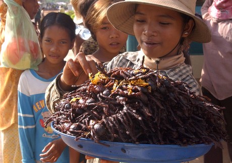 Cambodian Girl Holds Tray Fried Tarantulas Editorial Stock Photo ...