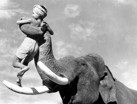Elephant Boy Film 1937 Sabu Editorial Stock Photo - Stock Image ...