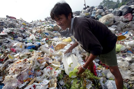Filipino Garbage Food Scavenger Zaldy Casiano Editorial Stock Photo ...