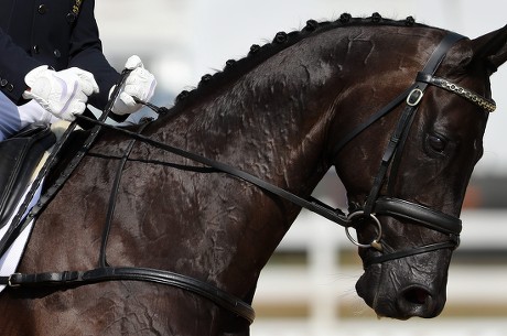 Christopher Burton Australia Riding Santano Ii Editorial Stock Photo ...