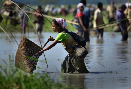 28 Kati bihu festival Stock Pictures, Editorial Images and Stock Photos ...