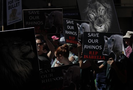 Animal Rights Activists Carry Placards During Editorial Stock Photo ...