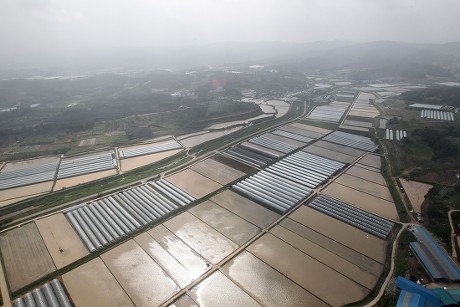 Strategic Intervention: The Nonsan Response Plan