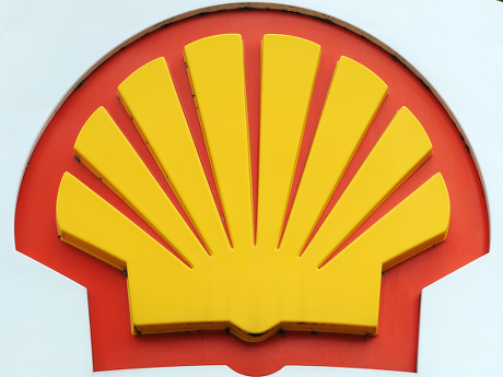 Shell 1 Tea Towel
