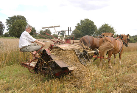 1 Horse drawn binder Stock Pictures, Editorial Images and Stock Photos ...