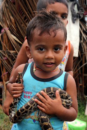 Sri Lankan Gypsy Child Plays Python Editorial Stock Photo - Stock Image ...