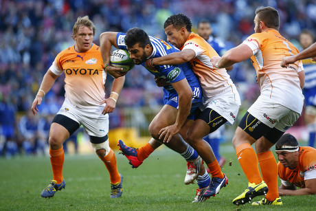Man Match Damian De Allende Stormers Editorial Stock Photo Stock man-match-damian-de-allende-stormers-editorial-stock-photo-stock