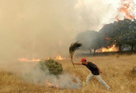 Spain Forest Fires - Aug 2003
