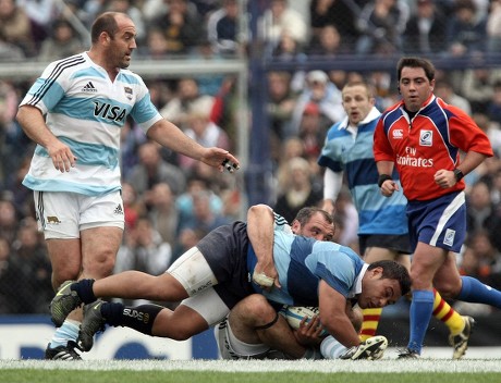 ARGENTINA'S 'LOS PUMAS' RUGBY TEAM PLAYER Editorial Stock Photo - Stock  Image | Shutterstock | Shutterstock Editorial