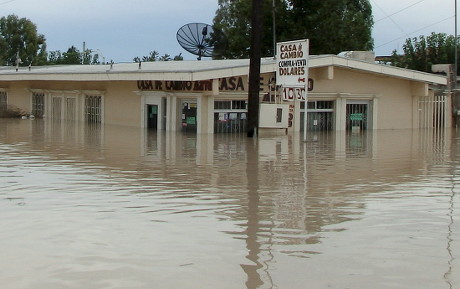 7 Ojinaga Stock Pictures, Editorial Images and Stock Photos | Shutterstock