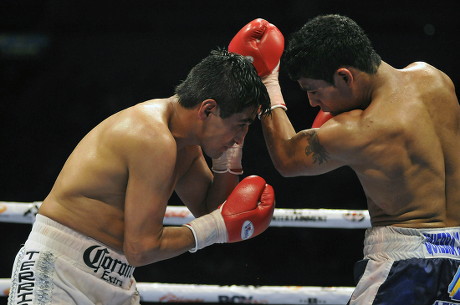 Mexico Boxing Wbc Welter Weight Fight - Mar 2010