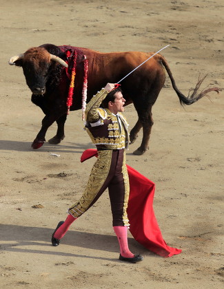 Peru Bullfighting - Dec 2010