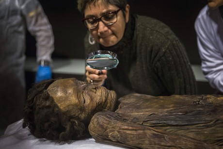 Archaeologist Observes Guanche Mummy Barranco De Editorial Stock Photo - Stock Image | Shutterstock