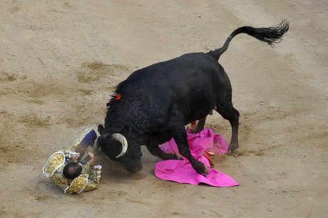 Colombia Bullfighting - Dec 2012