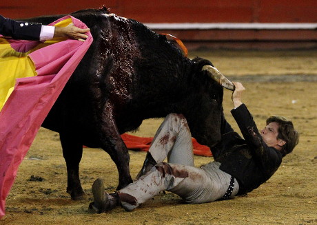 Colombia Bullfight - Jan 2014