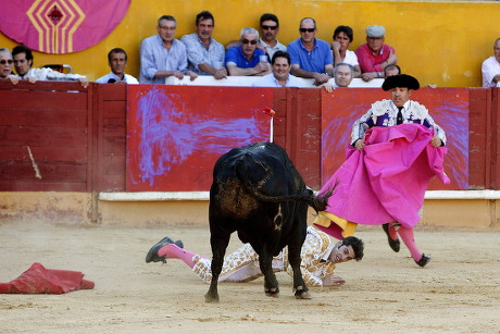 Bullfighter Alejandro Talavante Gored By Bull Editorial Stock Photo ...