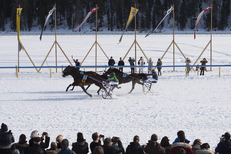 75 Harness races Stock Pictures, Editorial Images and Stock Photos