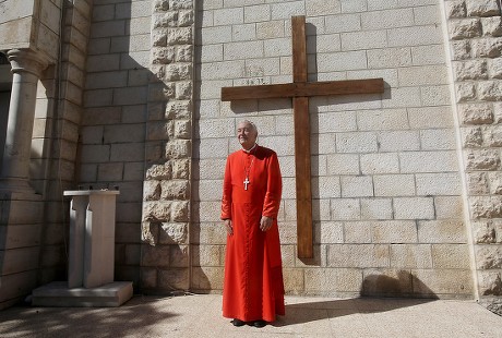 Mideast Palestinians Gaza Cardinal Nichols - Nov 2016
