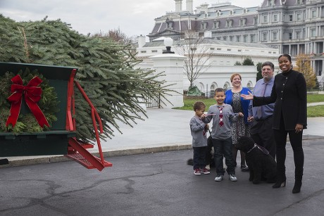 Official white house christmas tree selected from oconto