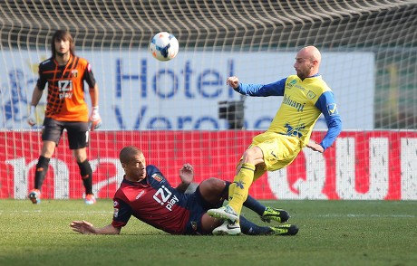 Chievos Roberto Guana R Genoas Sebastian Editorial Stock Photo Stock