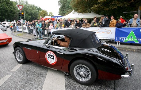 Austin Healey Mk Iii Bj Editorial Stock Photo Stock Image