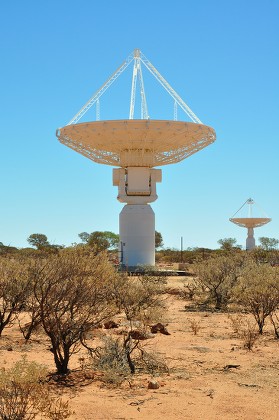 Antennas Australia New Zealand Square Kilometre Editorial Stock Photo -  Stock Image | Shutterstock