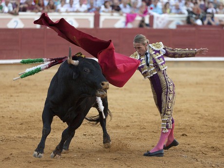 Spain Bullfighting - Aug 2016