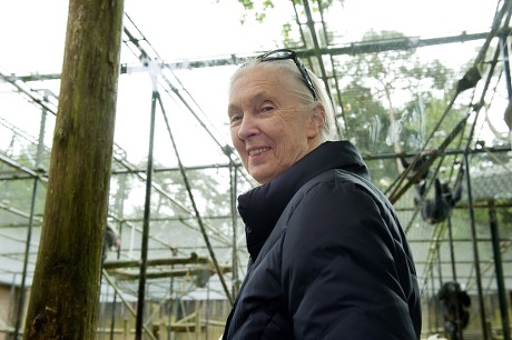 Netherlands Jane Goodall - May 2012