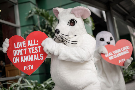 Animal rights advocates encourage people to show compassion for living things, Manila, Philippines - 13 Feb 2017