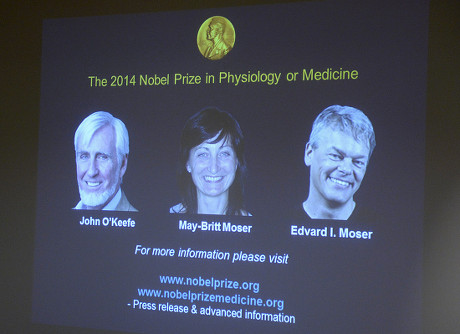 Sweden Science Nobel Prize - Oct 2014