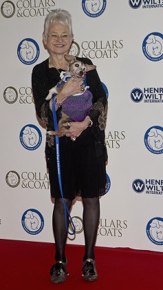 Battersea Dogs Home Collars And Coats Gala Ball - Dame Jacqueline Wilson.