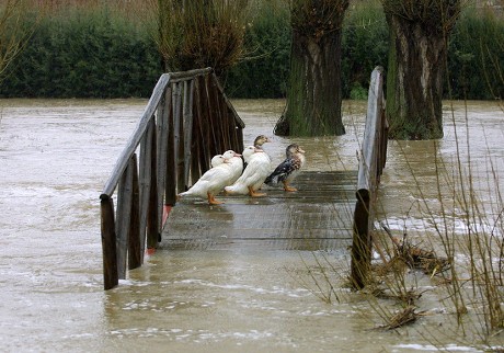 Spain Floods - Feb 2003
